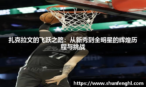 BB贝博登录入口