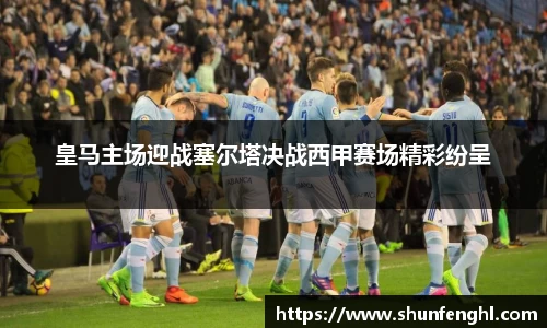 皇马主场迎战塞尔塔决战西甲赛场精彩纷呈