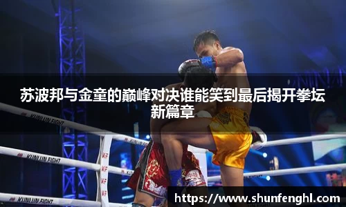 苏波邦与金童的巅峰对决谁能笑到最后揭开拳坛新篇章